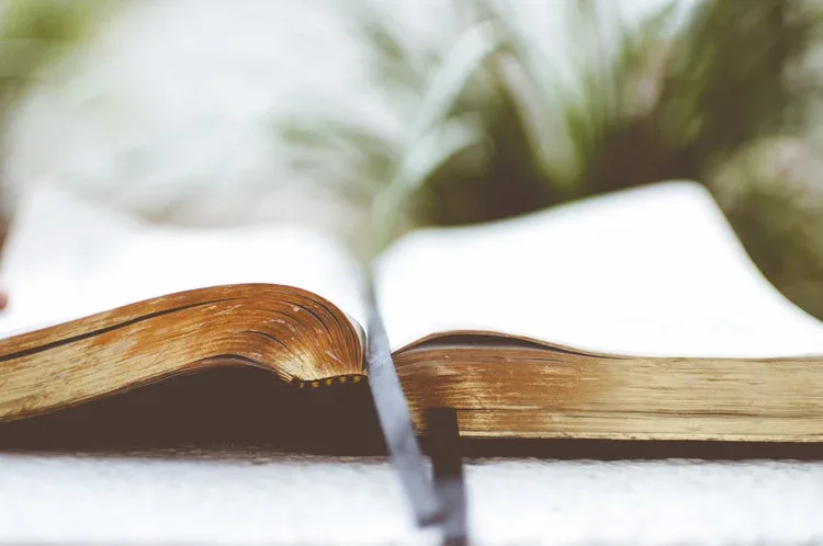 Word of Wisdom: A Modern Interpretation (Full Book)