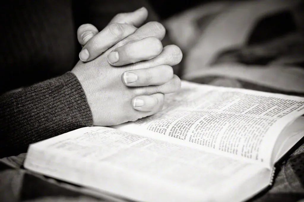 “Don’t Touch” — Addressing Sexual Taboos In The LDS Faith Intro